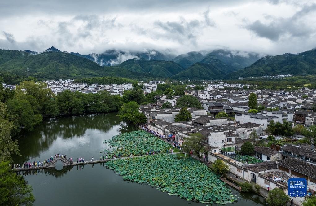 2025年白菜网站大全